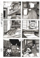 Cats Are Weird - Real